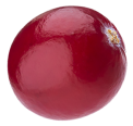  cranberry