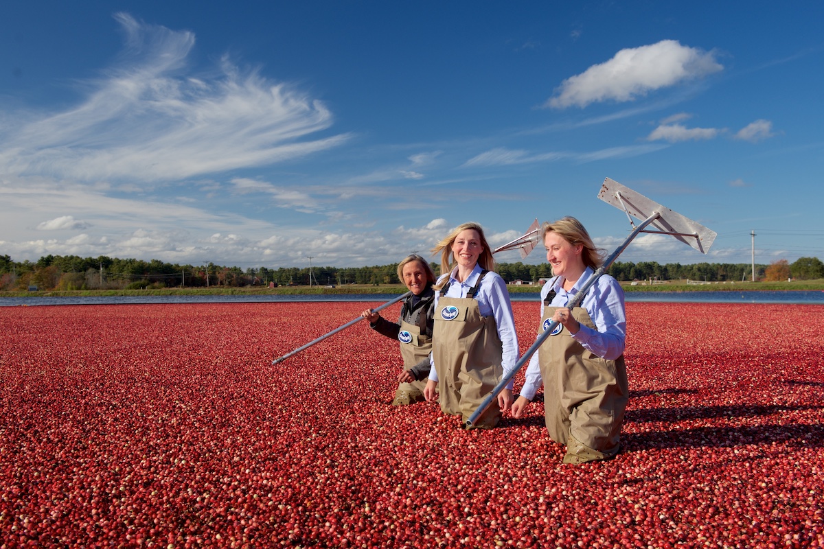 Ocean Spray Co-op